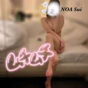 ヒメ日記 2024/12/21 13:10 投稿 穂（すい） NOA（ノア）