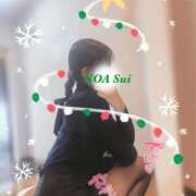 ヒメ日記 2024/12/24 12:50 投稿 穂（すい） NOA（ノア）