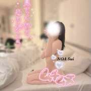 ヒメ日記 2024/12/25 10:10 投稿 穂（すい） NOA（ノア）