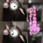 ヒメ日記 2024/12/28 14:40 投稿 穂（すい） NOA（ノア）