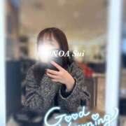 ヒメ日記 2025/01/06 10:50 投稿 穂（すい） NOA（ノア）