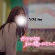 ヒメ日記 2025/01/07 08:20 投稿 穂（すい） NOA（ノア）