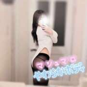 ヒメ日記 2025/01/07 13:10 投稿 穂（すい） NOA（ノア）