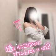 ヒメ日記 2025/01/08 09:55 投稿 穂（すい） NOA（ノア）