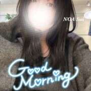 ヒメ日記 2025/01/12 08:20 投稿 穂（すい） NOA（ノア）