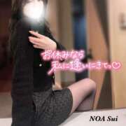 ヒメ日記 2025/01/12 14:10 投稿 穂（すい） NOA（ノア）