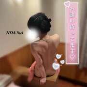 ヒメ日記 2025/01/13 10:58 投稿 穂（すい） NOA（ノア）