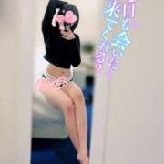 ヒメ日記 2025/01/15 08:13 投稿 穂（すい） NOA（ノア）