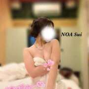 ヒメ日記 2025/01/20 11:50 投稿 穂（すい） NOA（ノア）