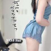 ヒメ日記 2025/04/14 09:43 投稿 穂（すい） NOA（ノア）