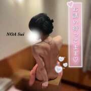 ヒメ日記 2025/04/19 10:08 投稿 穂（すい） NOA（ノア）