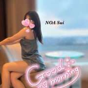 ヒメ日記 2025/05/18 09:15 投稿 穂（すい） NOA（ノア）