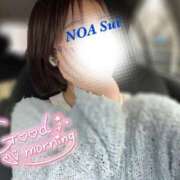 ヒメ日記 2025/05/24 09:55 投稿 穂（すい） NOA（ノア）