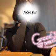 ヒメ日記 2025/05/31 10:07 投稿 穂（すい） NOA（ノア）