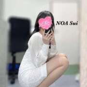 ヒメ日記 2025/06/11 12:00 投稿 穂（すい） NOA（ノア）