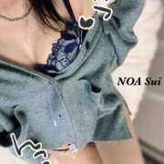 ヒメ日記 2025/06/18 14:56 投稿 穂（すい） NOA（ノア）