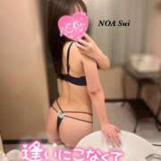 ヒメ日記 2025/07/12 09:55 投稿 穂（すい） NOA（ノア）