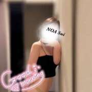 ヒメ日記 2025/07/22 10:43 投稿 穂（すい） NOA（ノア）