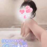 ヒメ日記 2025/08/08 09:51 投稿 穂（すい） NOA（ノア）