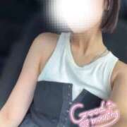 ヒメ日記 2025/08/19 09:46 投稿 穂（すい） NOA（ノア）