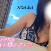 ヒメ日記 2025/08/29 10:07 投稿 穂（すい） NOA（ノア）