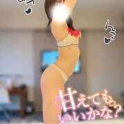 ヒメ日記 2025/09/12 14:57 投稿 穂（すい） NOA（ノア）