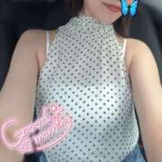 ヒメ日記 2025/09/17 09:53 投稿 穂（すい） NOA（ノア）