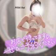 ヒメ日記 2025/09/25 10:28 投稿 穂（すい） NOA（ノア）