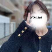 ヒメ日記 2025/10/25 10:19 投稿 穂（すい） NOA（ノア）