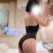 ヒメ日記 2025/12/16 09:56 投稿 穂（すい） NOA（ノア）