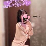 ヒメ日記 2026/01/07 11:21 投稿 穂（すい） NOA（ノア）