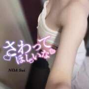 ヒメ日記 2026/01/14 10:04 投稿 穂（すい） NOA（ノア）