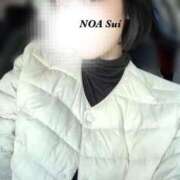 ヒメ日記 2026/01/29 10:12 投稿 穂（すい） NOA（ノア）