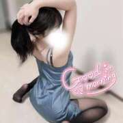 ヒメ日記 2026/02/11 10:09 投稿 穂（すい） NOA（ノア）