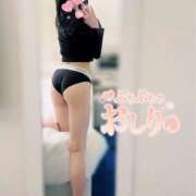 ヒメ日記 2026/02/23 10:17 投稿 穂（すい） NOA（ノア）