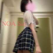 ヒメ日記 2026/03/19 12:45 投稿 穂（すい） NOA（ノア）