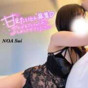ヒメ日記 2026/04/17 10:39 投稿 穂（すい） NOA（ノア）