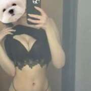 穂（すい） おはよう🐶 NOA（ノア）