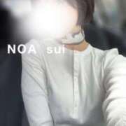 ヒメ日記 2026/05/08 10:20 投稿 穂（すい） NOA（ノア）