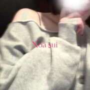 ヒメ日記 2026/05/25 10:39 投稿 穂（すい） NOA（ノア）