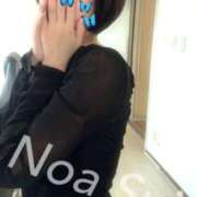 ヒメ日記 2026/06/11 13:05 投稿 穂（すい） NOA（ノア）