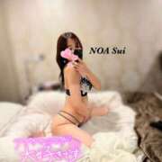 ヒメ日記 2026/07/14 09:58 投稿 穂（すい） NOA（ノア）