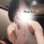 ヒメ日記 2026/10/12 10:24 投稿 穂（すい） NOA（ノア）