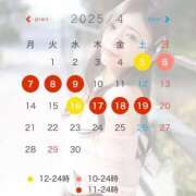 ヒメ日記 2025/04/05 11:15 投稿 みなみ チューリップ福井本館