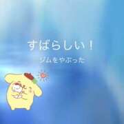 ヒメ日記 2025/05/01 23:31 投稿 あん プリティラビット