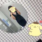 ヒメ日記 2025/06/19 17:23 投稿 あん プリティラビット