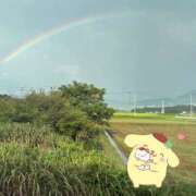 ヒメ日記 2025/09/05 23:22 投稿 あん プリティラビット