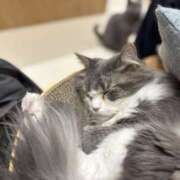 あん 2/14出勤します❣️ プリティラビット