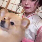 ヒメ日記 2024/12/30 09:34 投稿 みなみ チューリップ福井別館