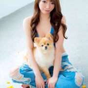 ヒメ日記 2025/06/24 00:24 投稿 みなみ チューリップ福井別館